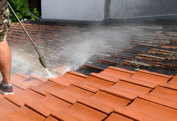 Best Pressure Washing Driveway  in Divernon, IL