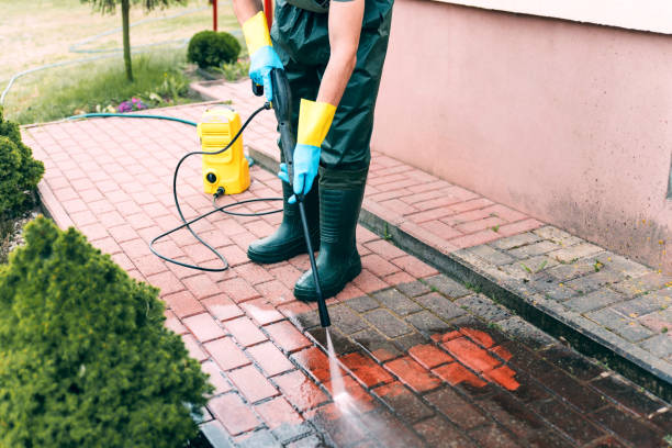 Best Roof Power Washing Services  in Divernon, IL